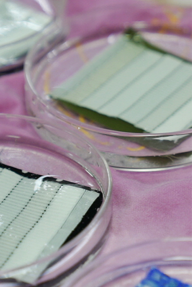 Nantong Tianhong textile Technology Co., Ltd.