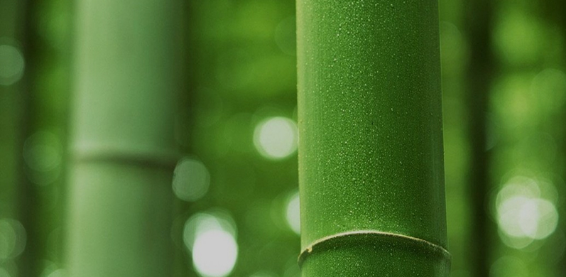 Nantong Tianhong textile Technology Co., Ltd.